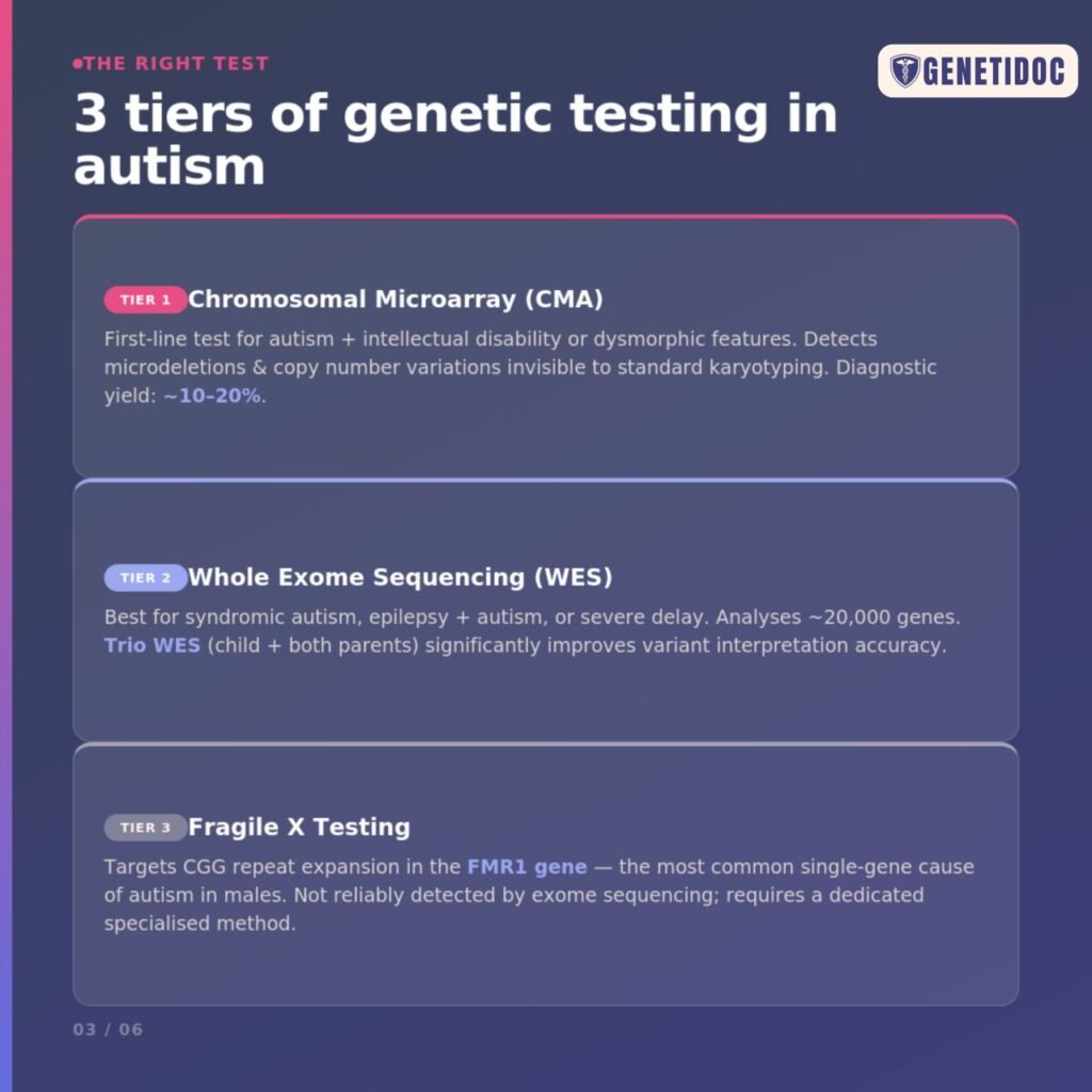 autism - genetic testing - india - genetidoc Genetic clinic and DNA testing lab